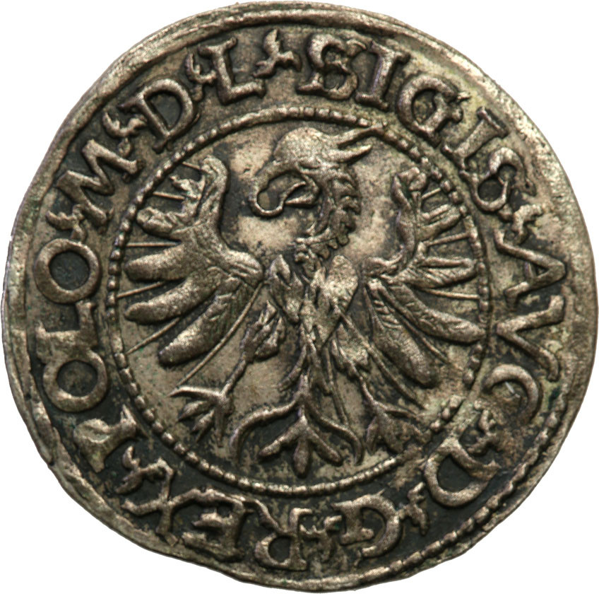 Zygmunt II August. Półgrosz 1566, Tykocin - RZADKI
